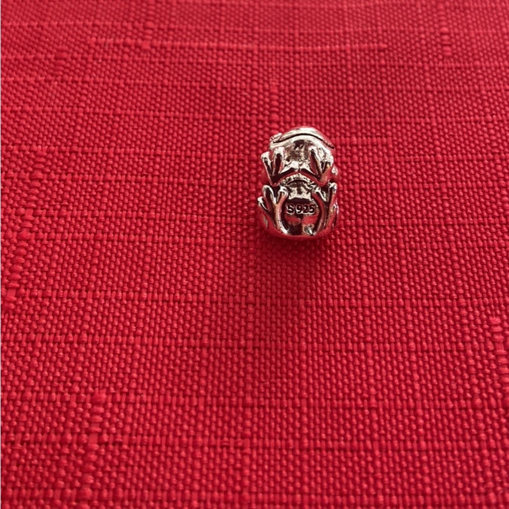 Women’s or Girls Princess Frog Charm - Picture 4 of 5